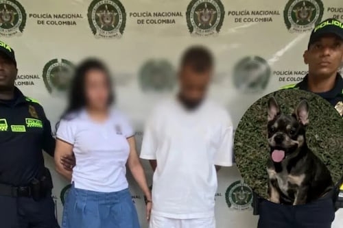 “Esto es inaceptable”: Fico tras captura de pareja que en medio de discusión habría lanzado desde un balcón a su perrita de solo 3 meses