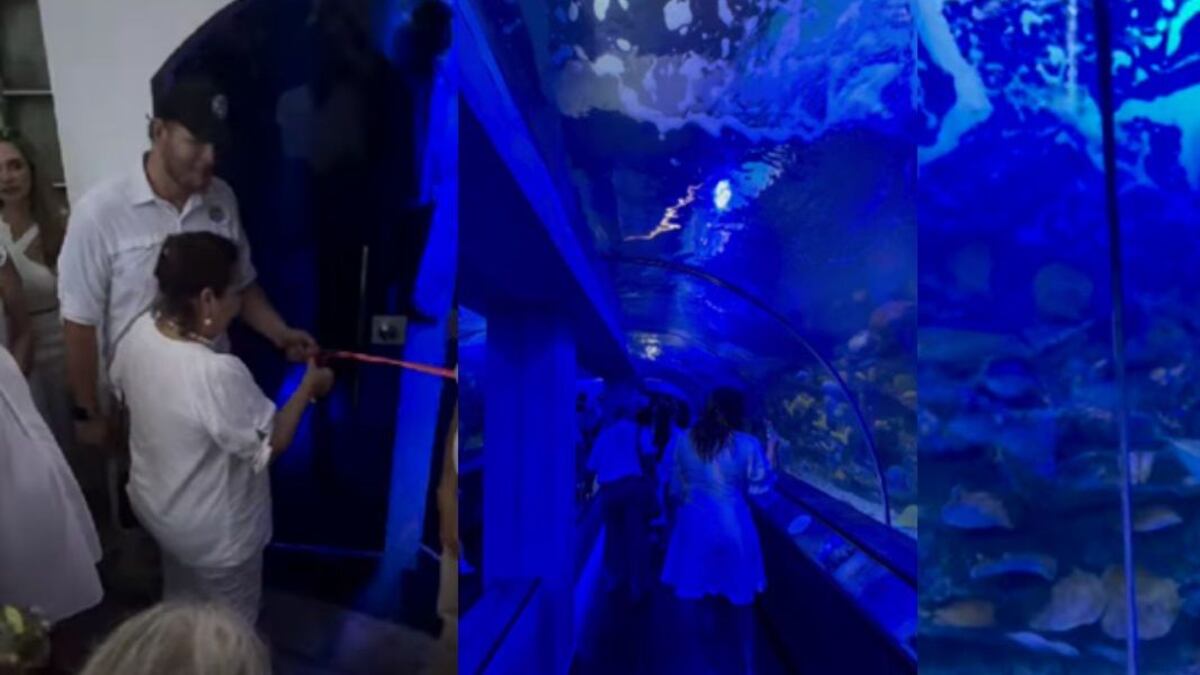 Apertura del túnel acuario en Santa Marta.