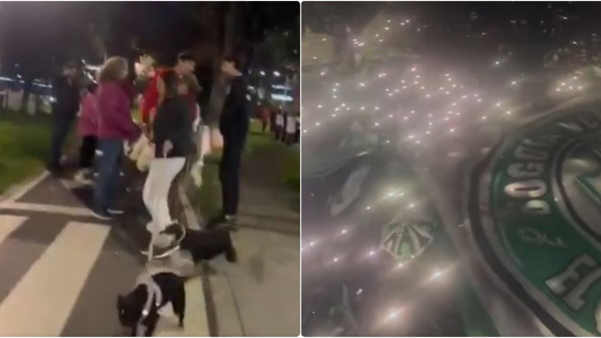 Hinchas de Nacional hicieron temblar edificios y generaron evacuaciones en Bogotá