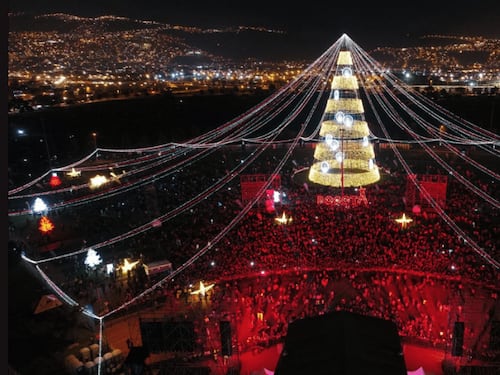 Bogotá se prepara para encender su alumbrado con el árbol navideño más grande la ciudad: Fecha y horarios
