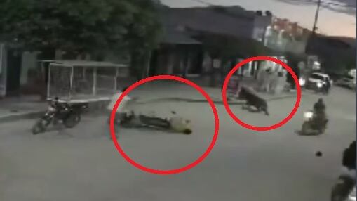Caballo desbocado embistió a motociclista en Pueblo Bello, Cesar.
