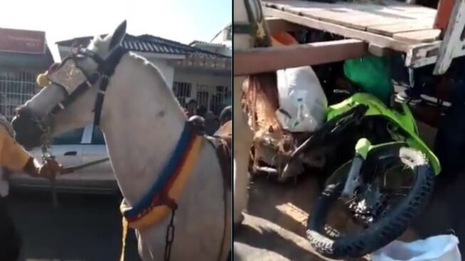 Accidente entre un carro de mula y una patrulla de policía en Barranquilla.