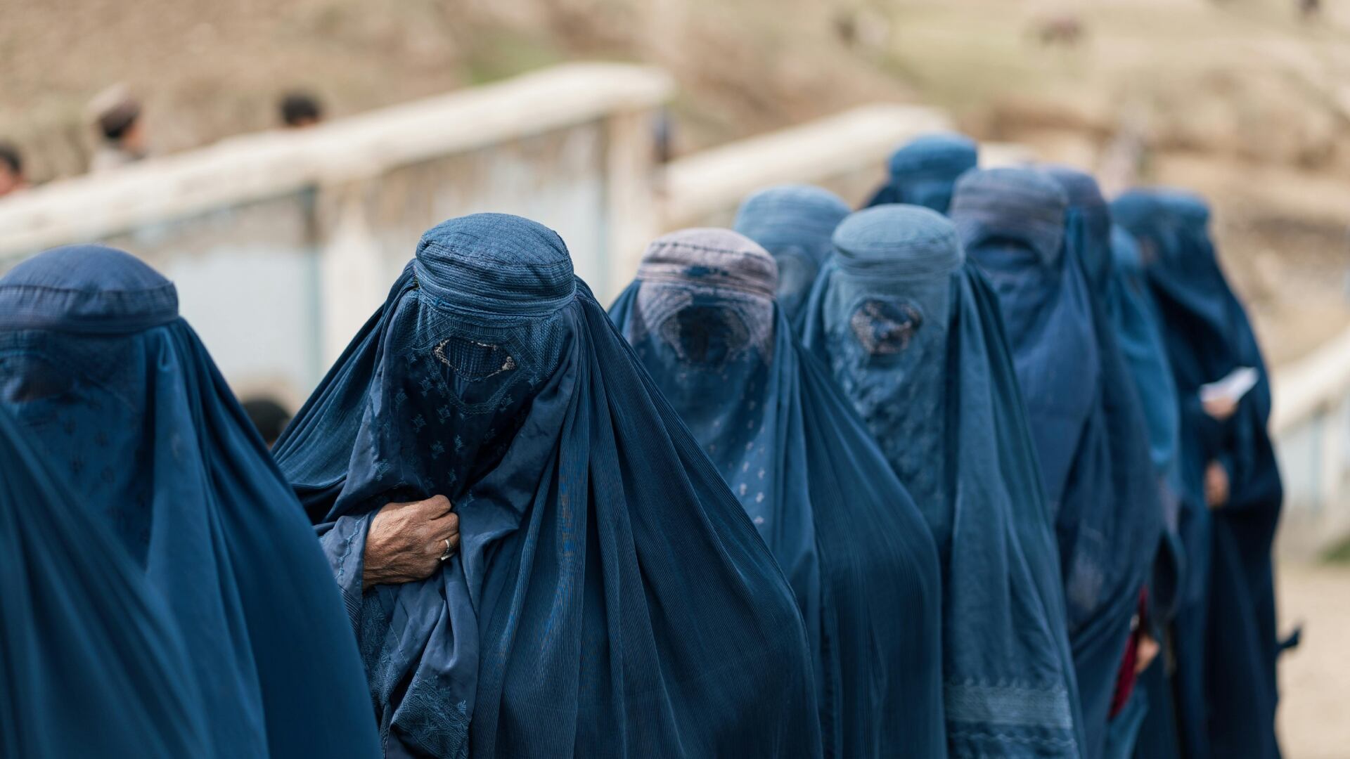Talibán prohíbe libros escritos por mujeres en Afganistán y materias sobre derechos humanos en las universidades (Foto: pexels 19 de septiembre)