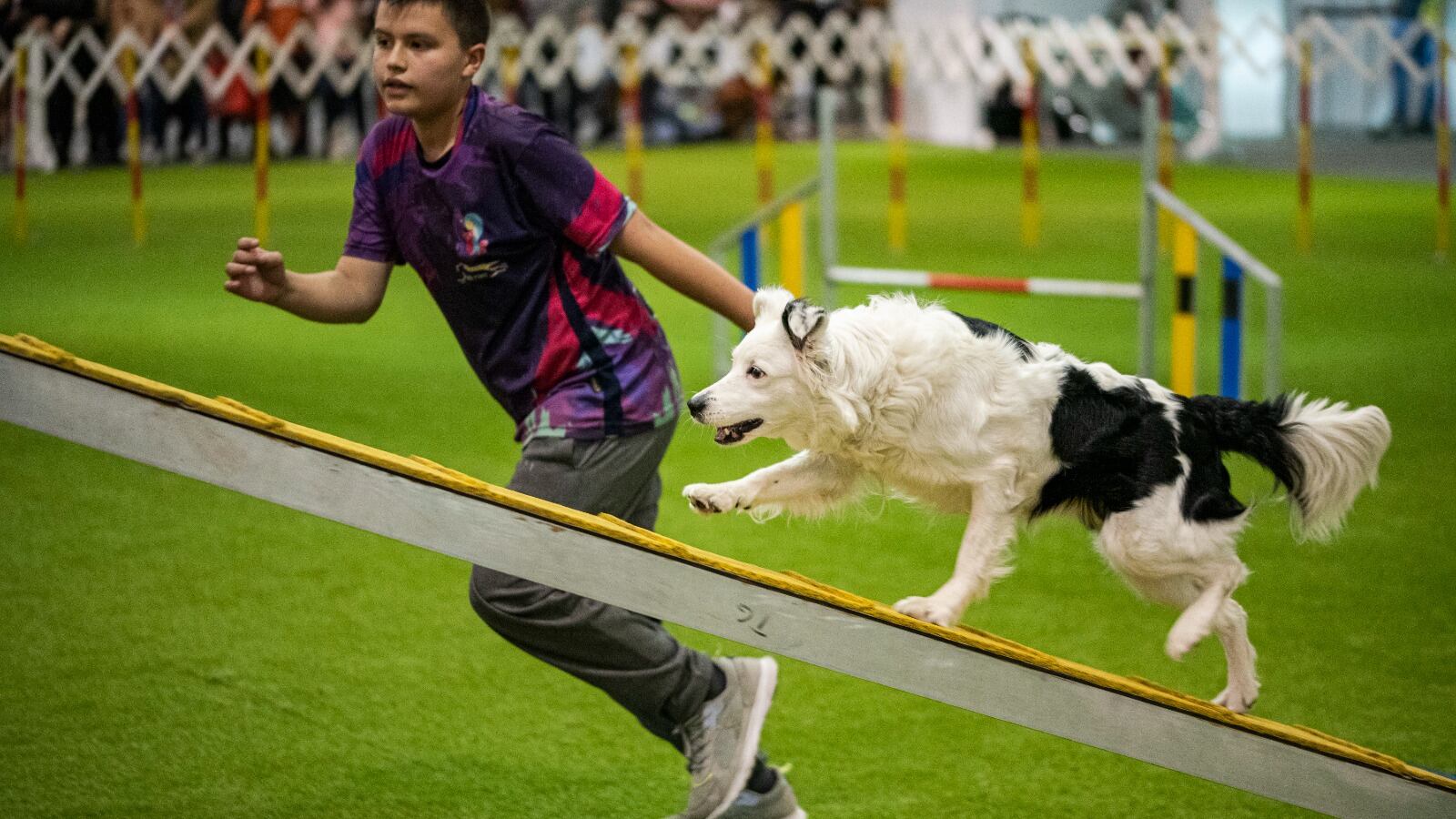 Expopet Corferias 2024