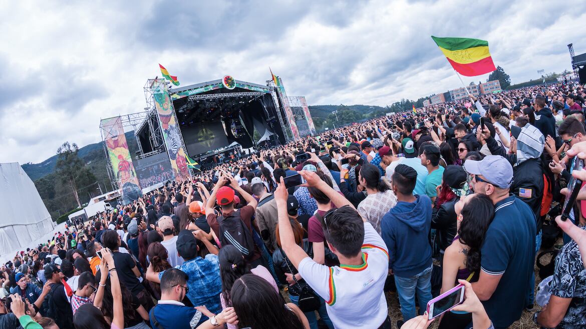 Pre Jamming y Jamming Festival