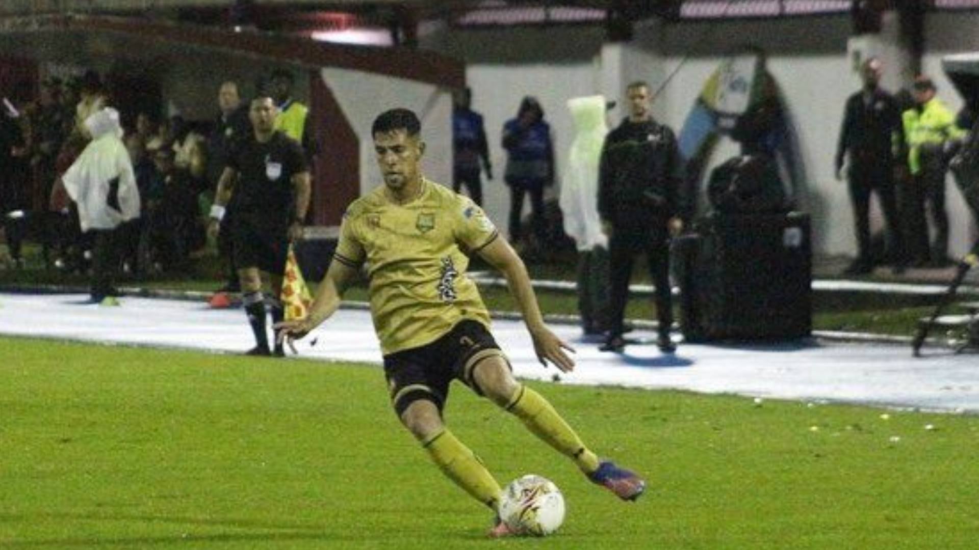 Recogebolas de Águilas Doradas