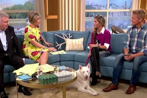 Mujer asegura que su perro es vegetariano y se hace viral tras quedar en ridículo tras ser entrevistada en vivo