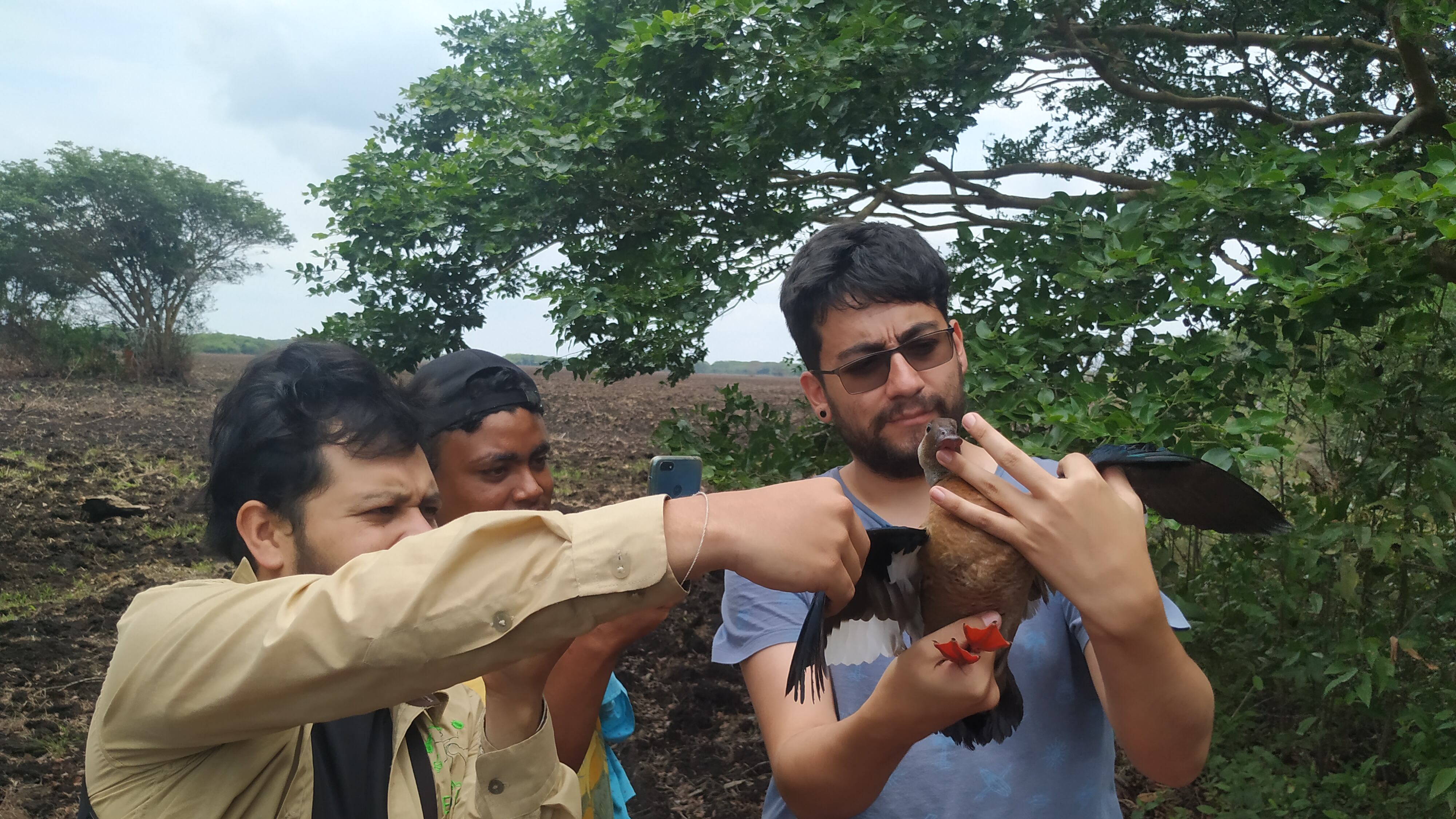 Un grupo multidisciplinario de científicos colombianos estudia la fauna y sus parásitos en el Casanare.