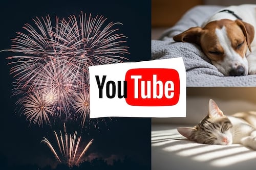 Pirotecnia sin estrés: Los mejores canales de YouTube para calmar a su mascota en la celebración de fin de año