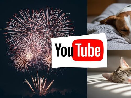 Pirotecnia sin estrés: Los mejores canales de YouTube para calmar a su mascota en la celebración de fin de año