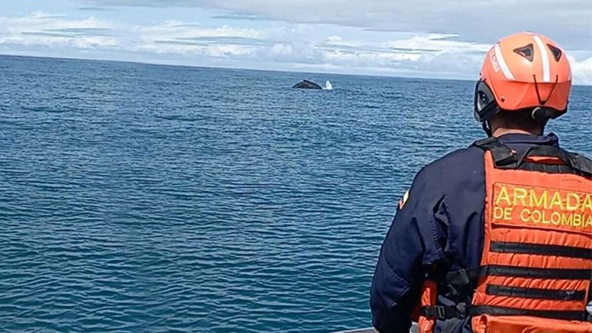 Foto hallan dos cuerpos sin vida en playa al norte del Colombia tras reporte de un naufragio.