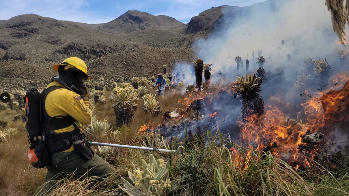 Incendio en la reserva El Ángel