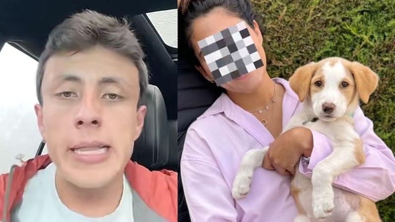 Fundación denunció que influencer habría abandonado a perrita criolla que adoptó para comprar mascota de raza