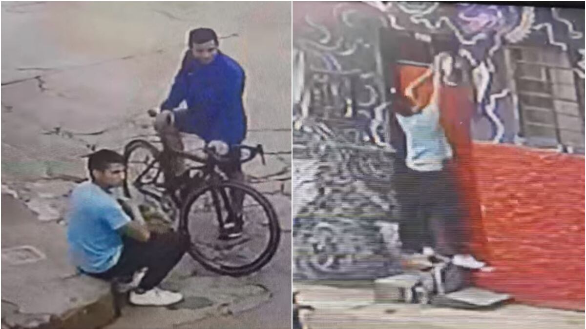 Abandono animal: gato fue tirado en casa ajena y buscan a los responsables