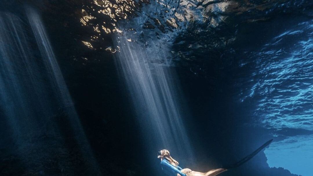Además de ser una de las mayores defensoras de estos, Claudia Bahamon recientemente ha mostrado un video inigualable.