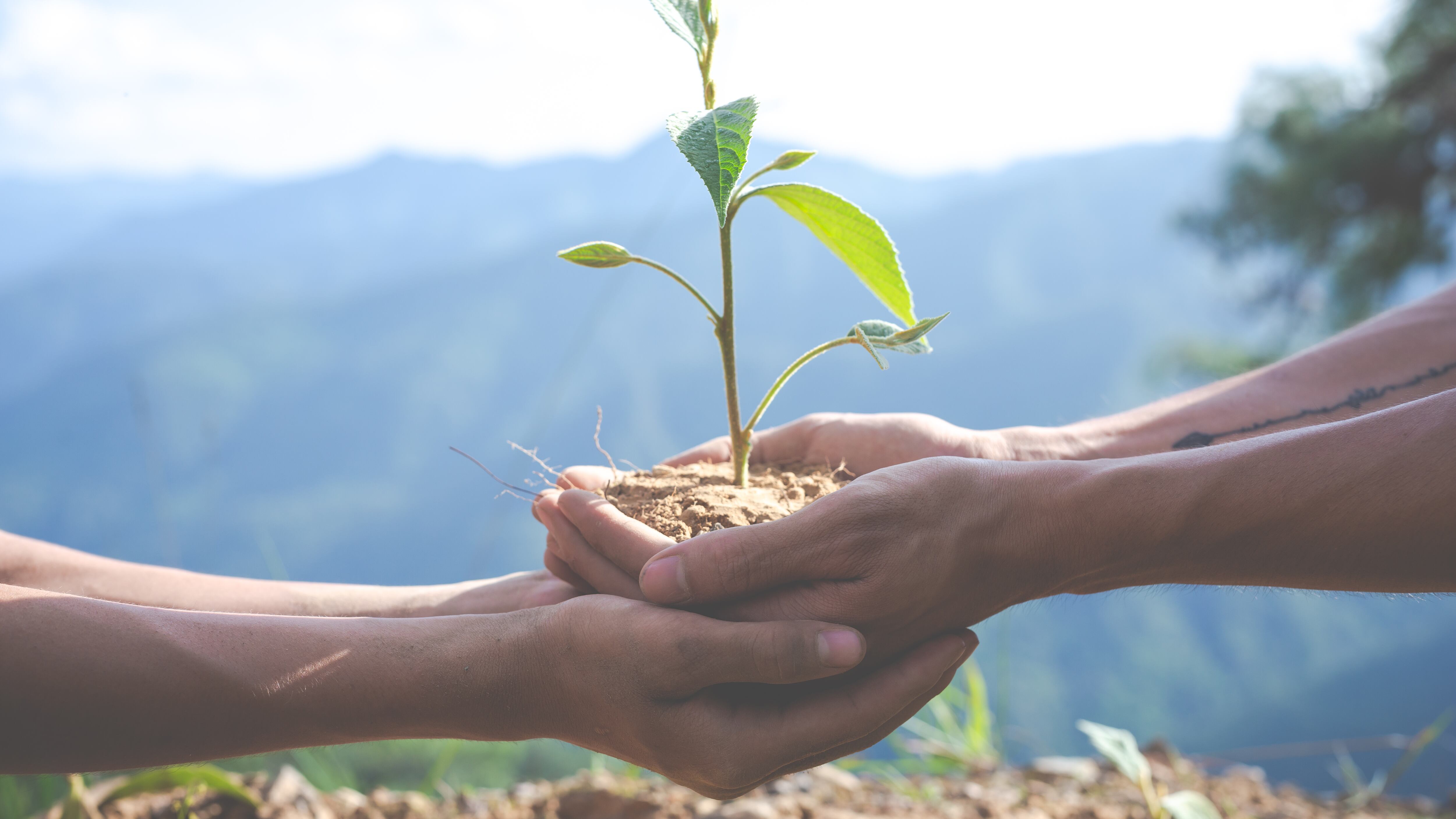 El camino para asegurar un mejor futuro y un mundo más verde, depende de que se cumplan todas las metas de sostenibilidad.
