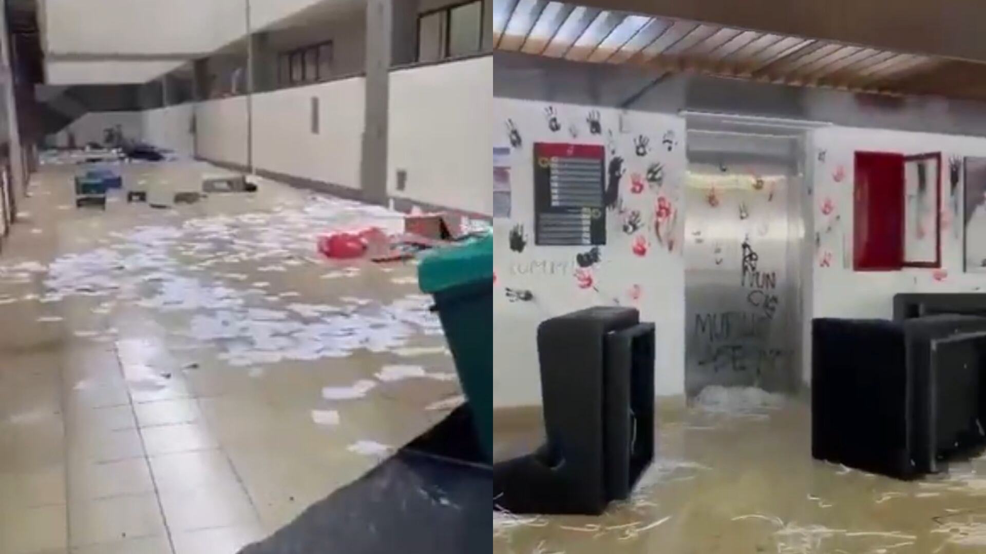 Vandalizaron las instalaciones de la Universidad del Valle en Palmira.