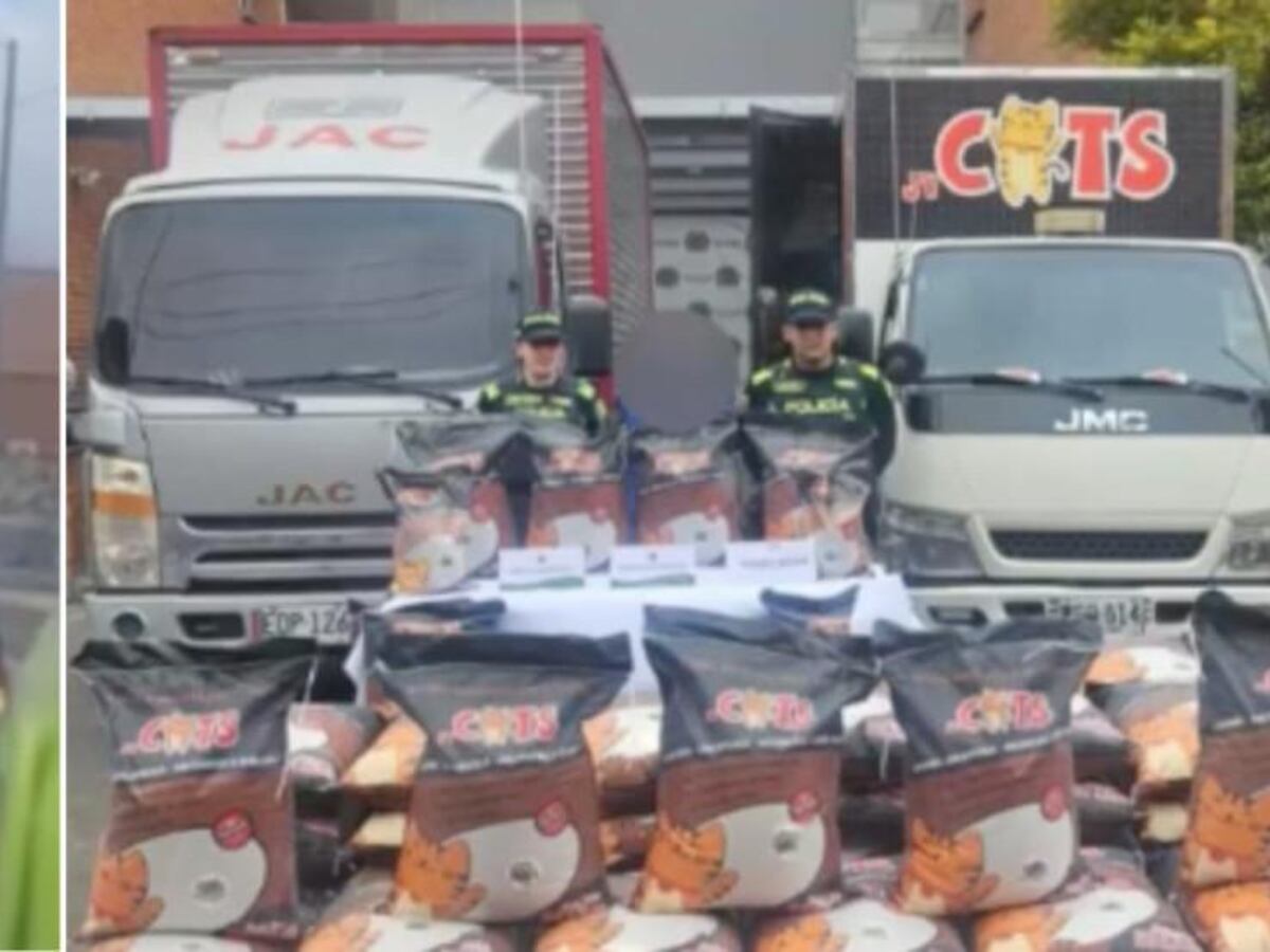 Policía de Bogotá recuperó dos furgones robados por medio de cámaras de  seguridad y GPS – Publimetro Colombia