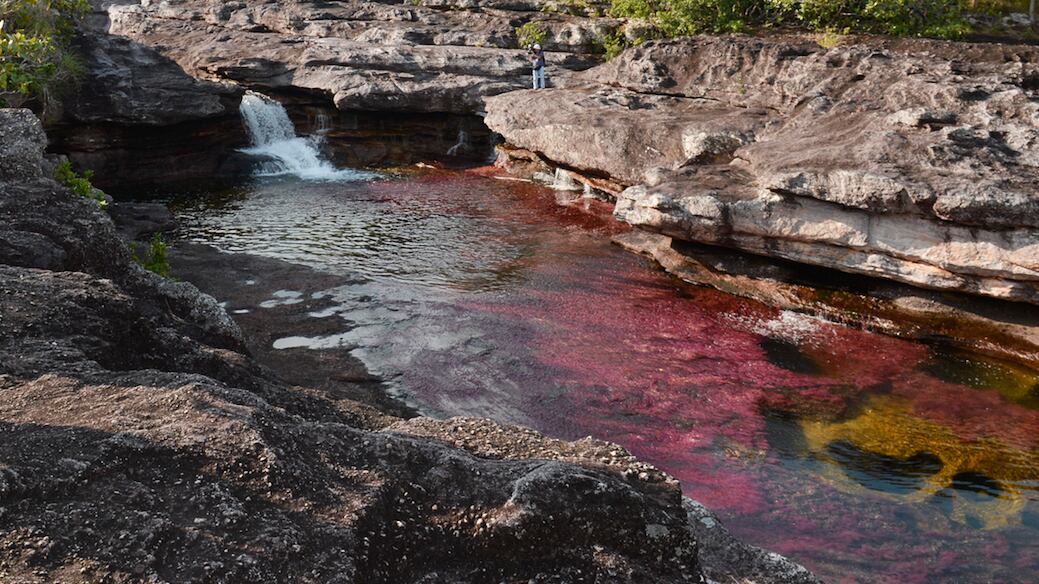 Caño Cristales fechas de apertura 2023