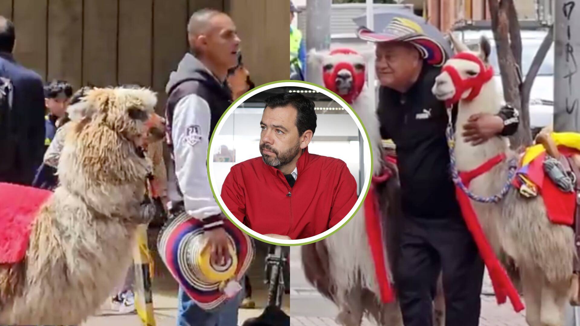 Galán anunció que se acabó el negocio con las llamas en el centro de Bogotá: “no pueden ser un atractivo turístico”