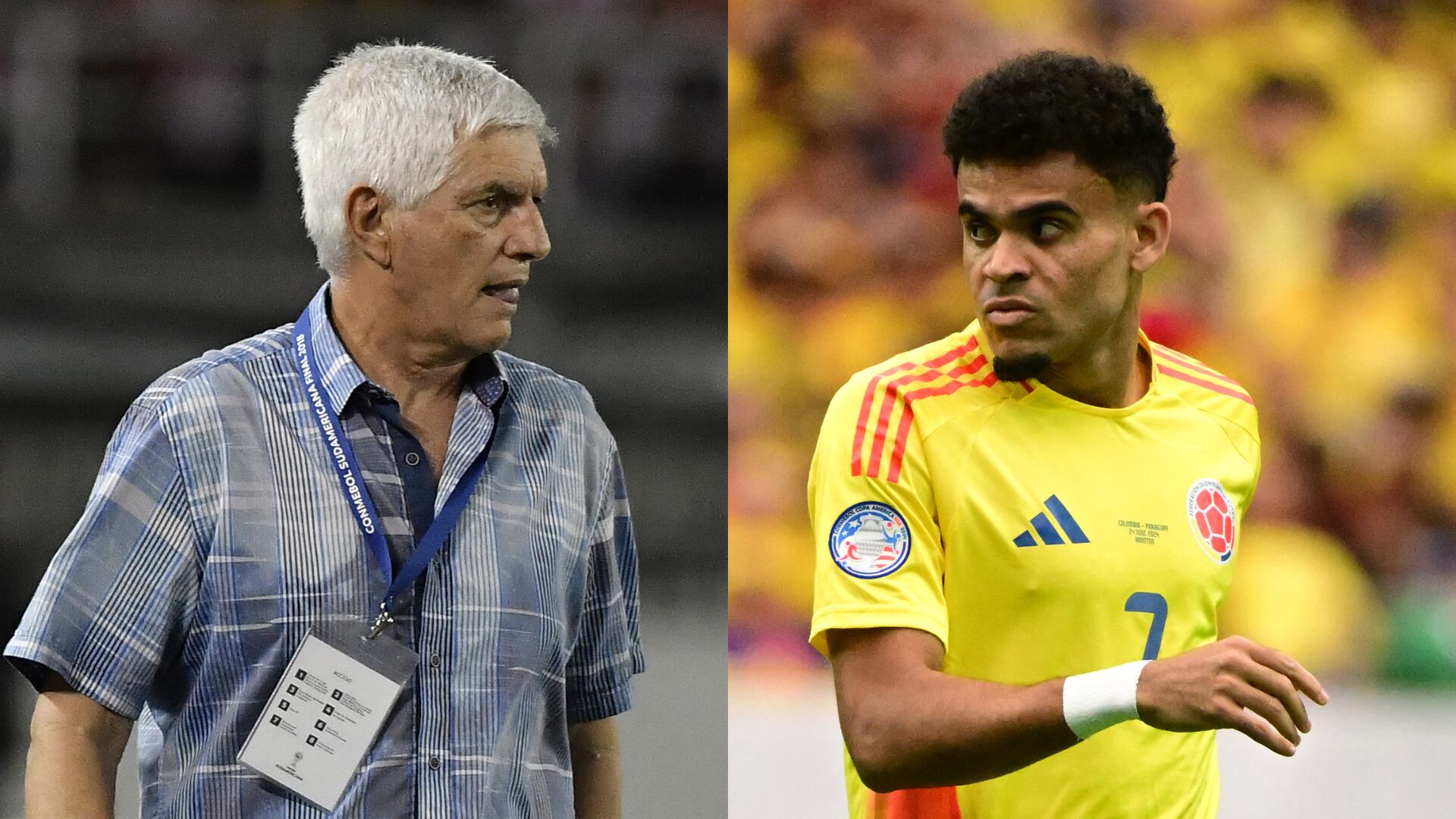 Julio Comesaña expuso la dificultad que limita a Luis Díaz en la Selección Colombia