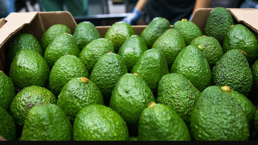 Foto de aguacates.