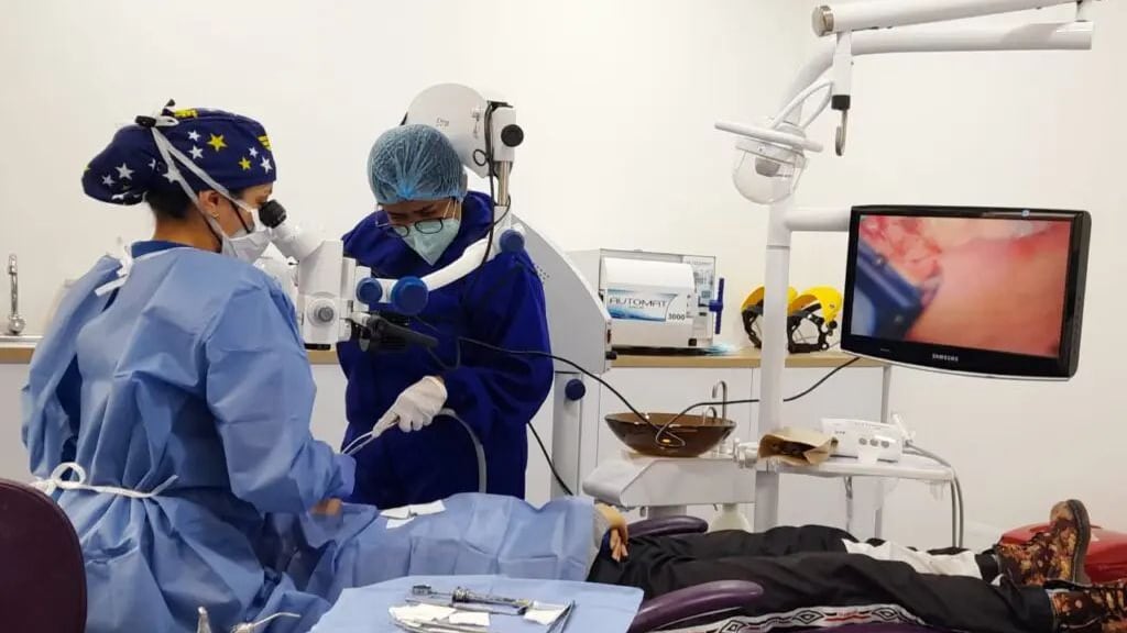 Autotrasplante dental en Colombia