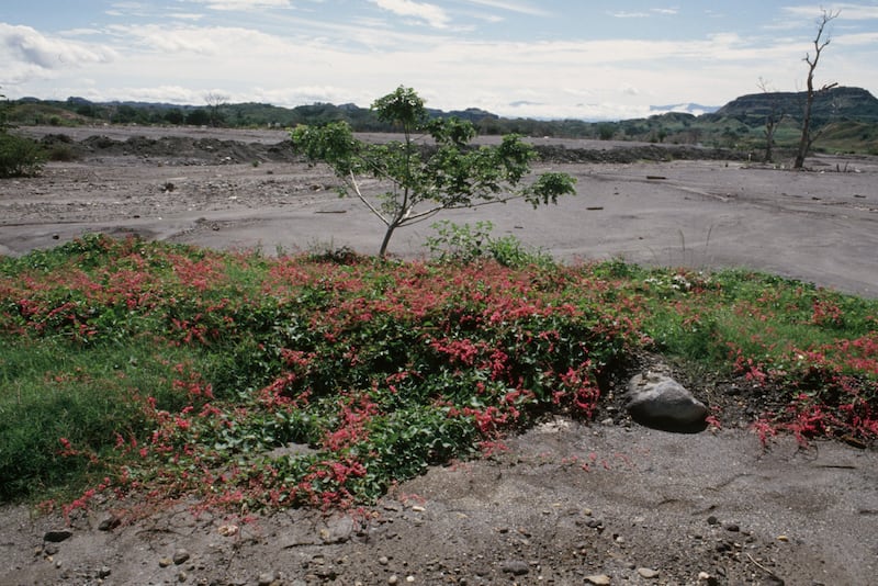 La lluvia y el sol en 1987. Betty Elder.