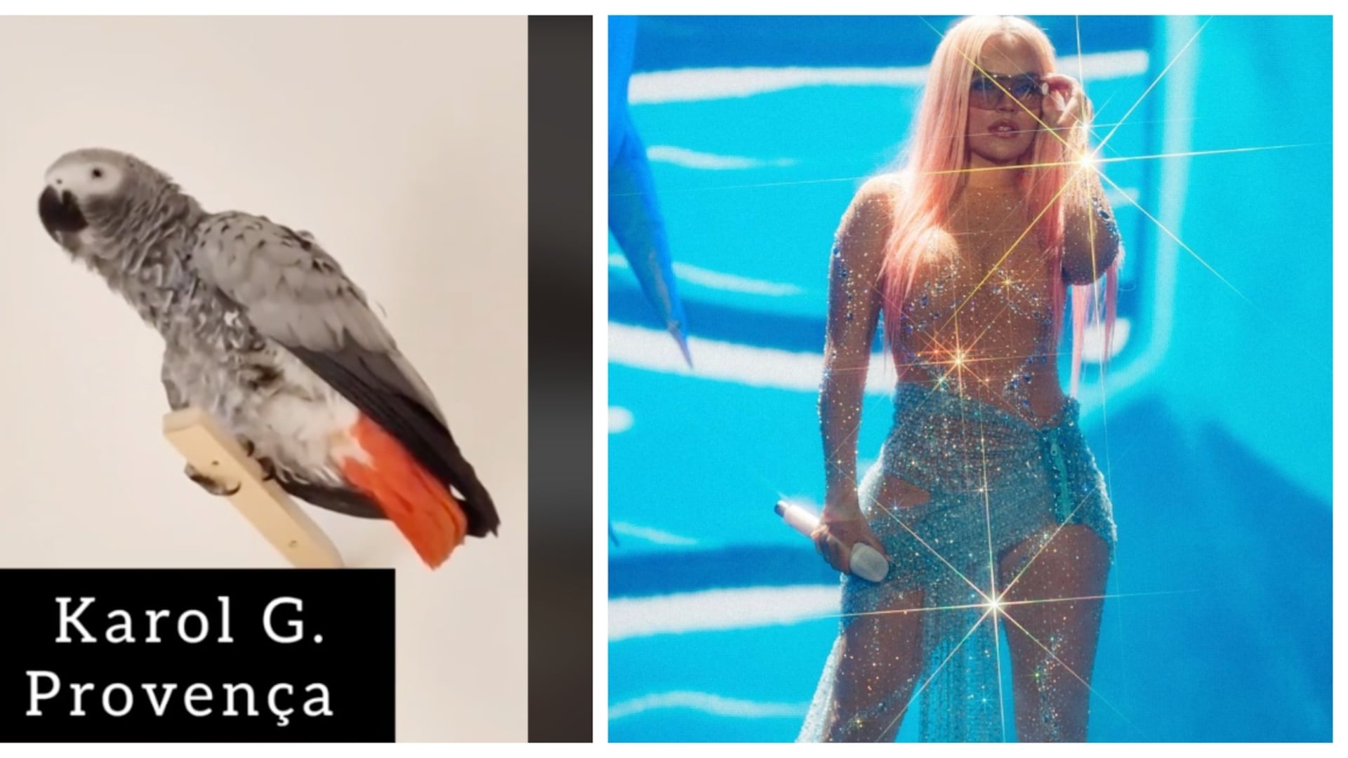 Lora canta como Karol G (TikTok: Lora prodigio y IG: Karol G)