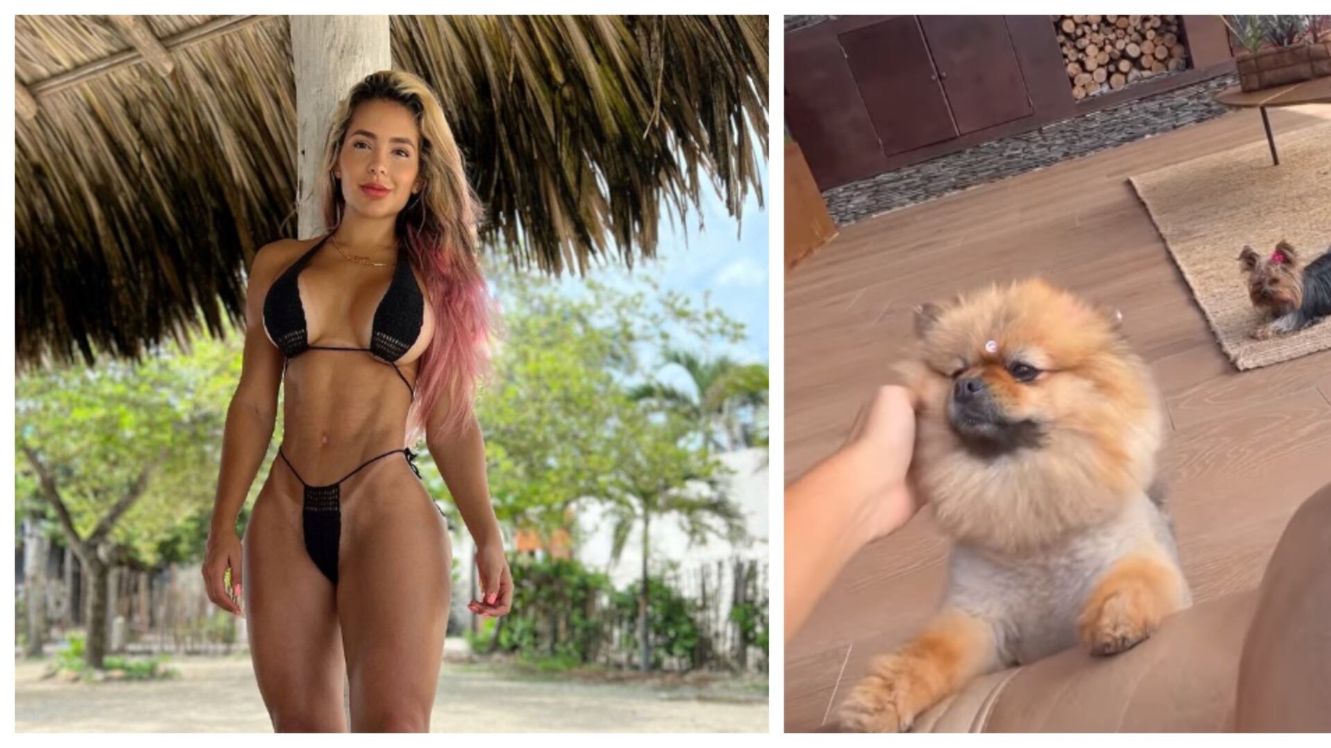 Paola Usme contó el accidente que sufrió una de sus perritas: “La escalera le cayó encima y la partió en dos” (Captura de pantalla ig: @palomausme)