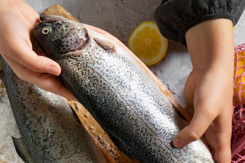 Cómo escoger buen pescado en Semana Santa: Claves para evitar riesgos de salud