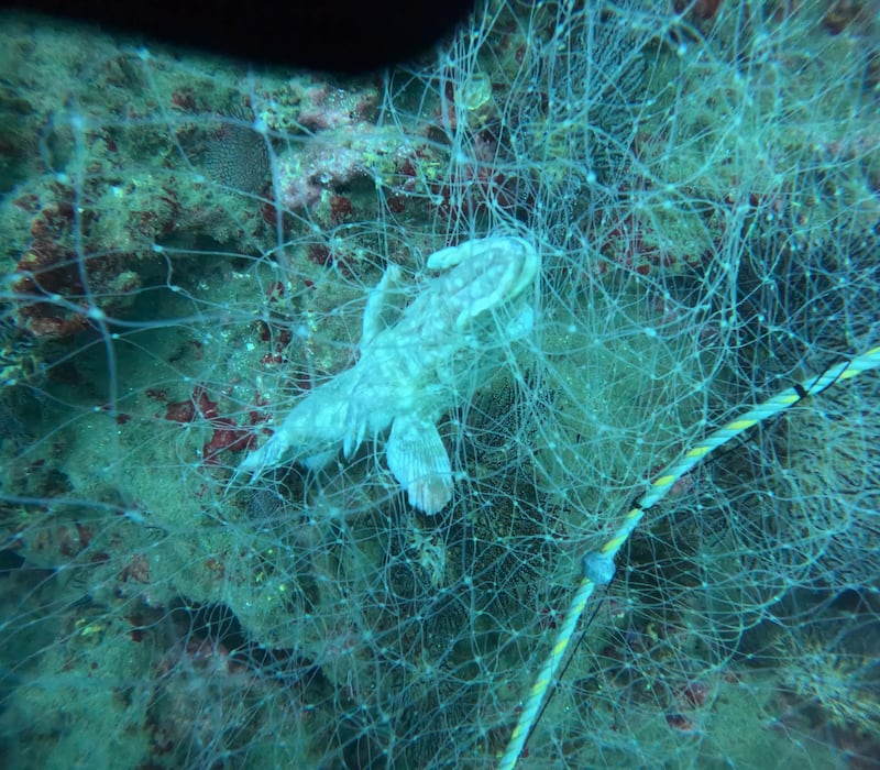 Limpieza de redes en el fondo marino (Foto: @guardianesdelmar)