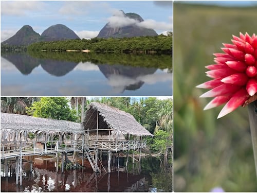 Inírida, una maravilla incrustada en medio de nuestra Amazonia y Orinoquia
