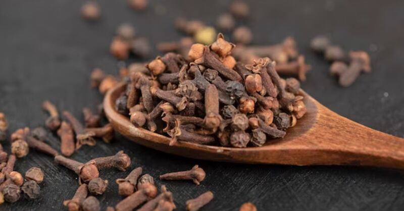 Rituales con clavo de olor que puedes hacer en casa para alejar las envidias y llamar a la prosperidad