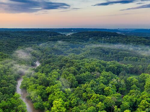 ¿Qué esperar del medioambiente este 2025?