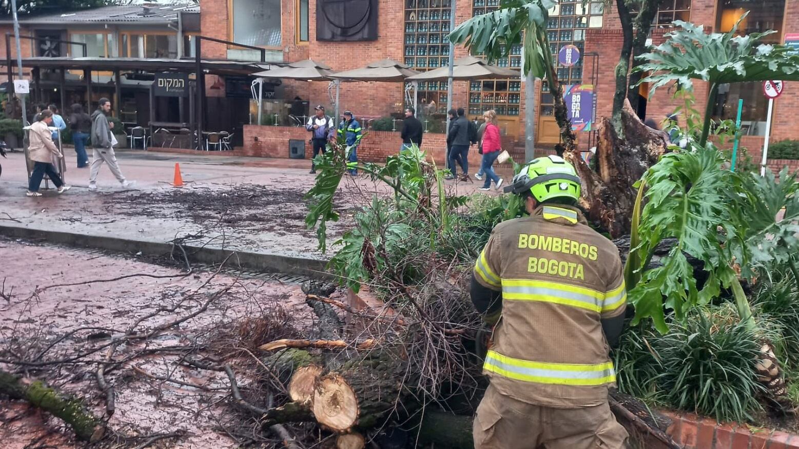 Foto fuertes lluvias en Bogotá provocan caída de árboles y varias emergencias viales.