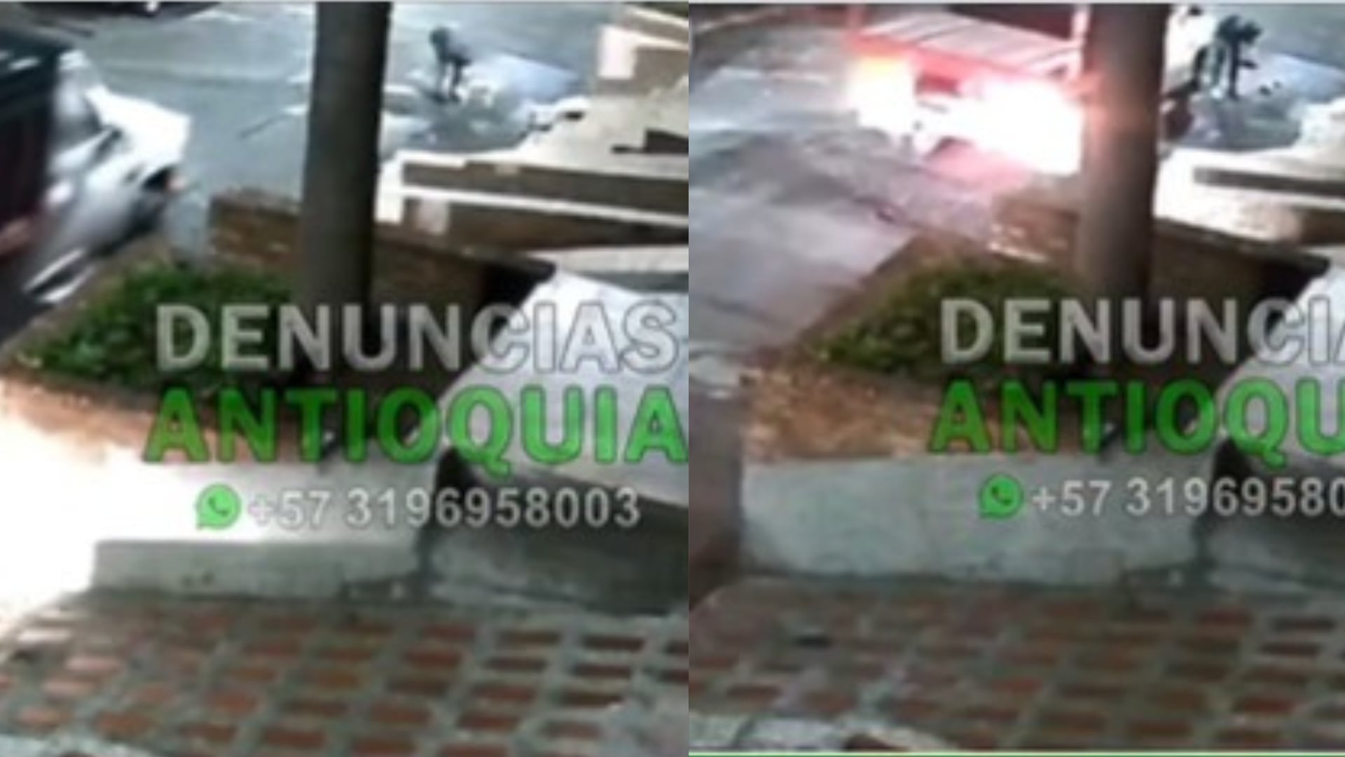 Conductor escapó después de atropellar a una adulta mayor y su perrito