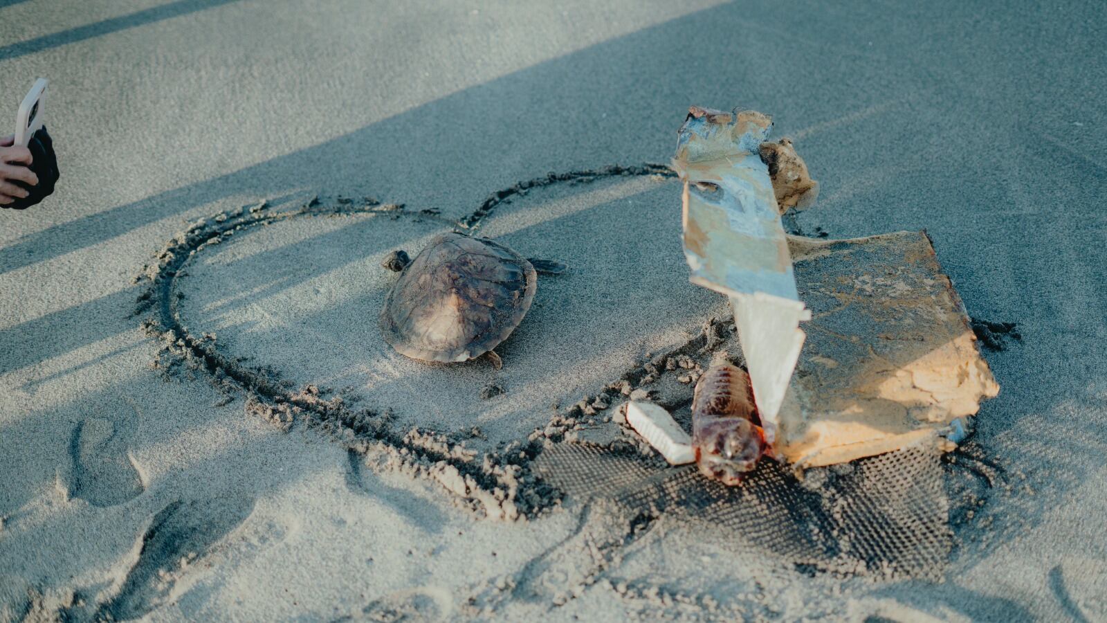 Así llega el material de espuma de las neveras a contaminar gravemente los manglares en el Caribe.