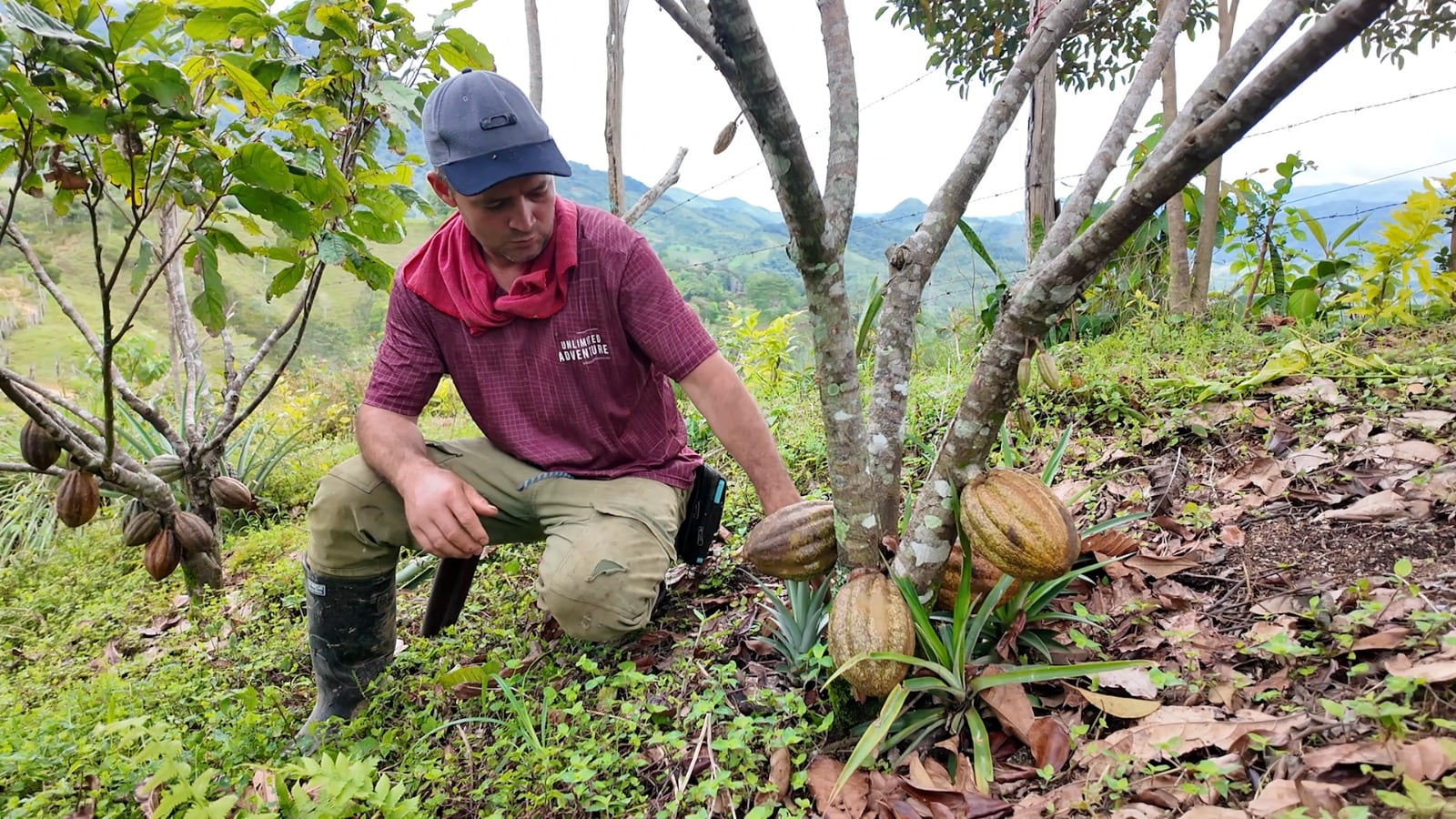 Familias guardabosques en Antioquia.