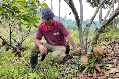 EPM invertirá 950 millones de pesos en familias guardabosques para proteger el ecosistema eléctrico de Antioquia