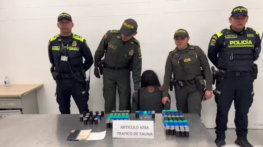 La joven fue descubierta y capturada por la Policía Nacional. Ahora deberá responder por el delito de tráfico de fauna silvestre