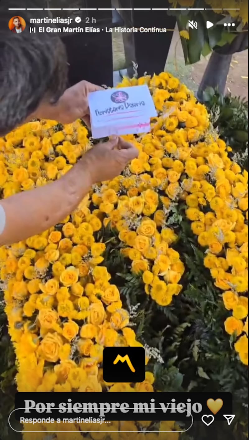 Hijo de Martín Elías.