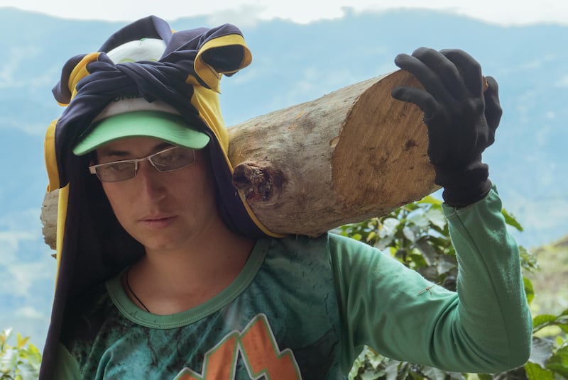 ‘Andariega’: el documental que retrata a las mujeres que cargan el peso del café y la maternidad
