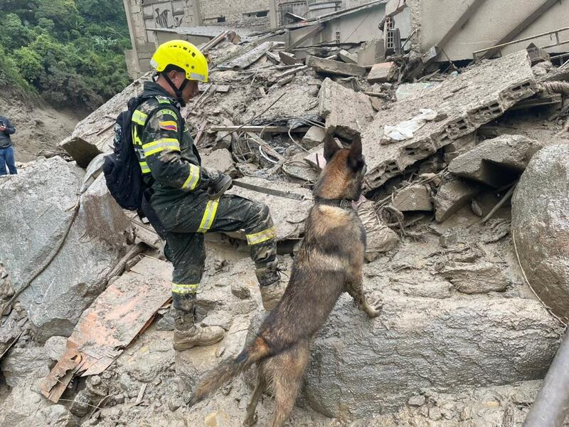 Oli y Romina, tienen una hoja de vida de admirar y están lo suficientemente entrenados para emergencias como la de Cundinamarca