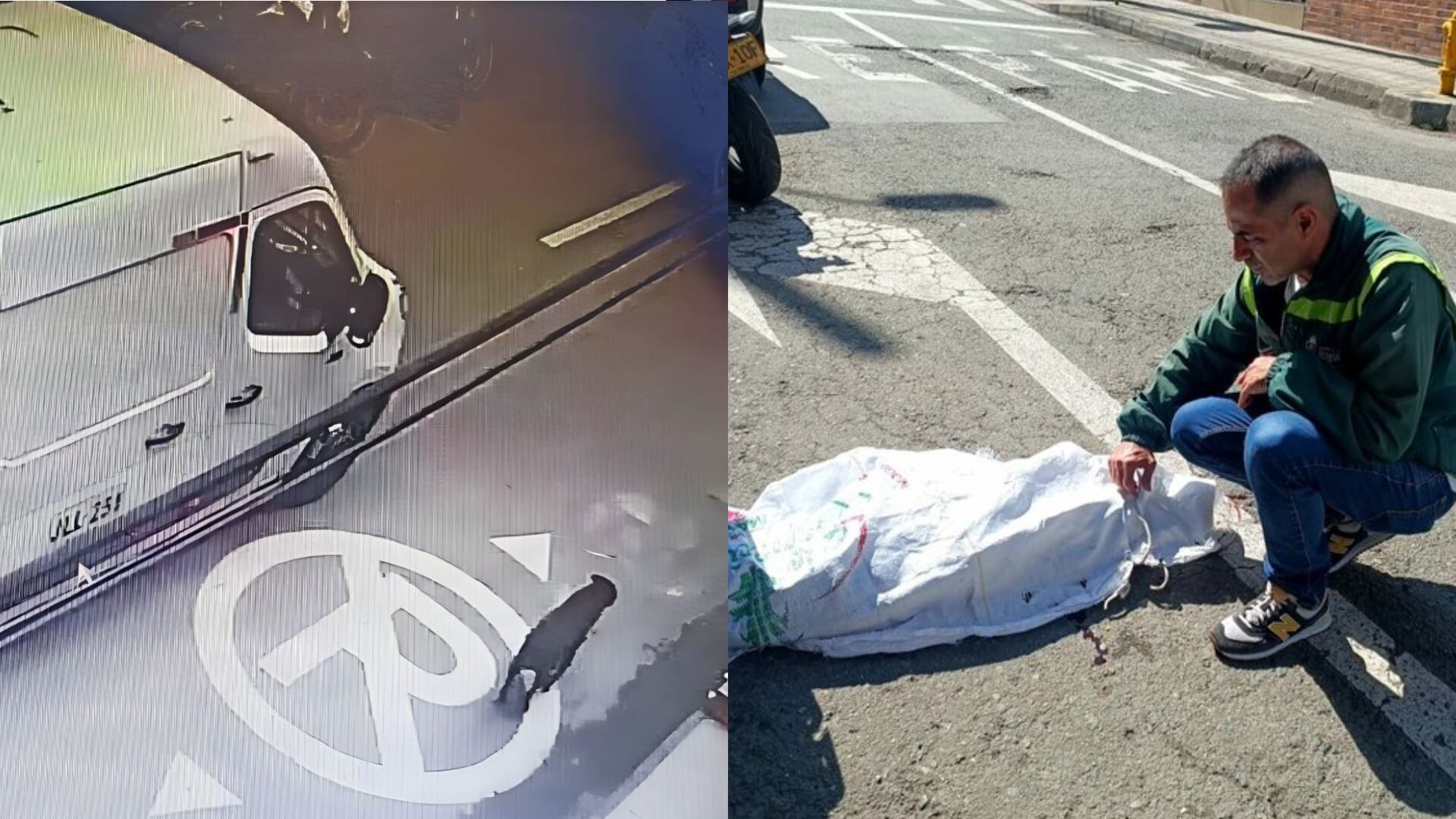 Perro fue arrollado por conductor que huyó