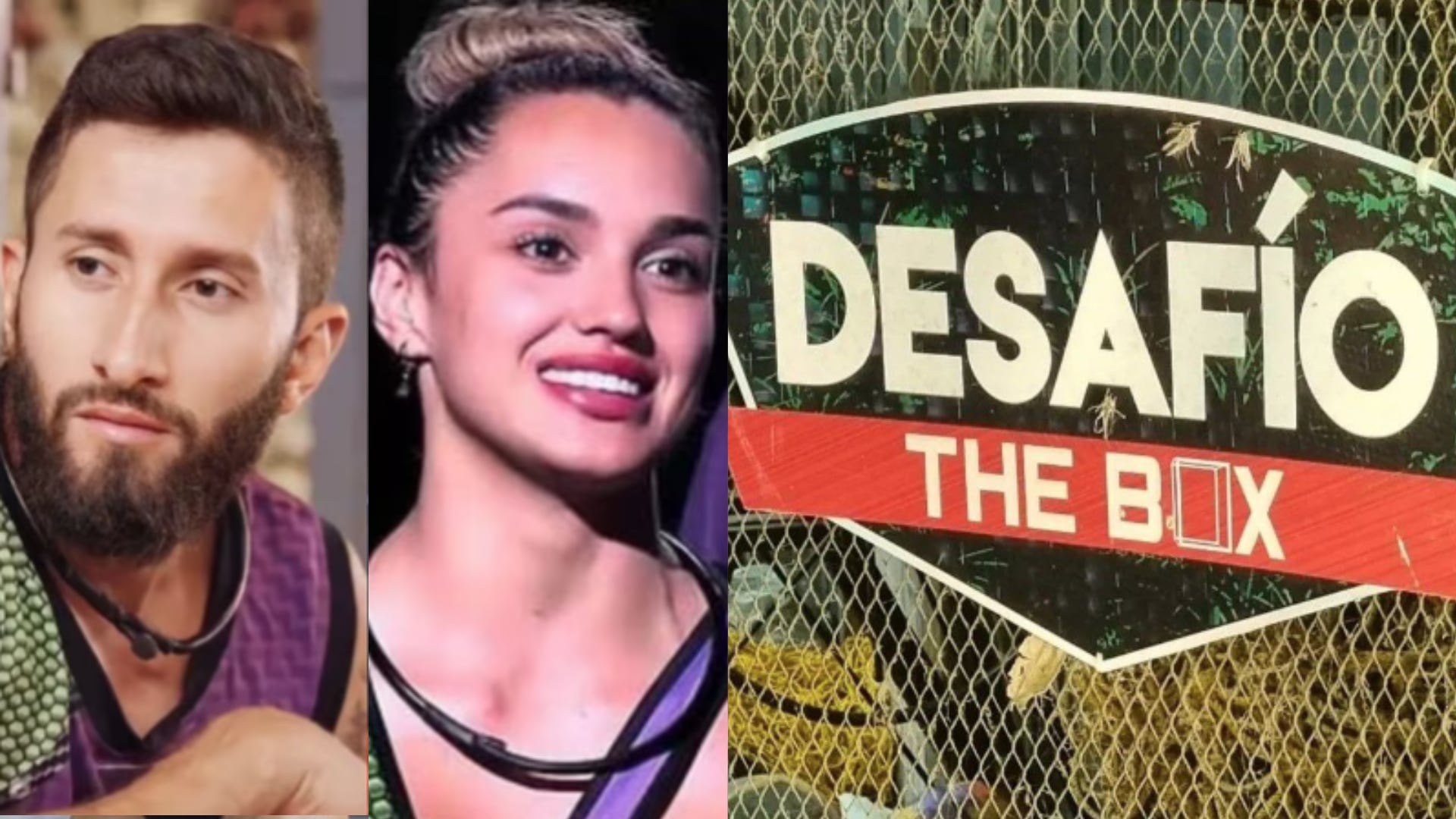 Sensei y Aleja se coronaron como ganadores del Desafío The Box 2023