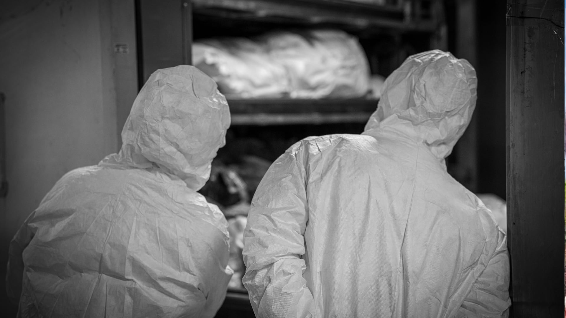 Cuerpos sin reclamar en Medicina Legal.