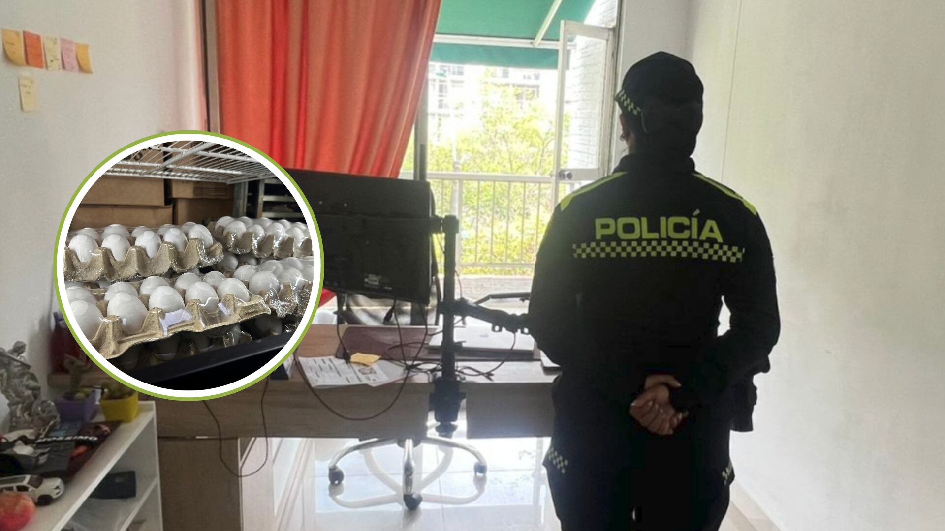 Controlaban el precio del huevo en Buenaventura y lavaron más de 3.000 millones de pesos: las autoridades los capturó