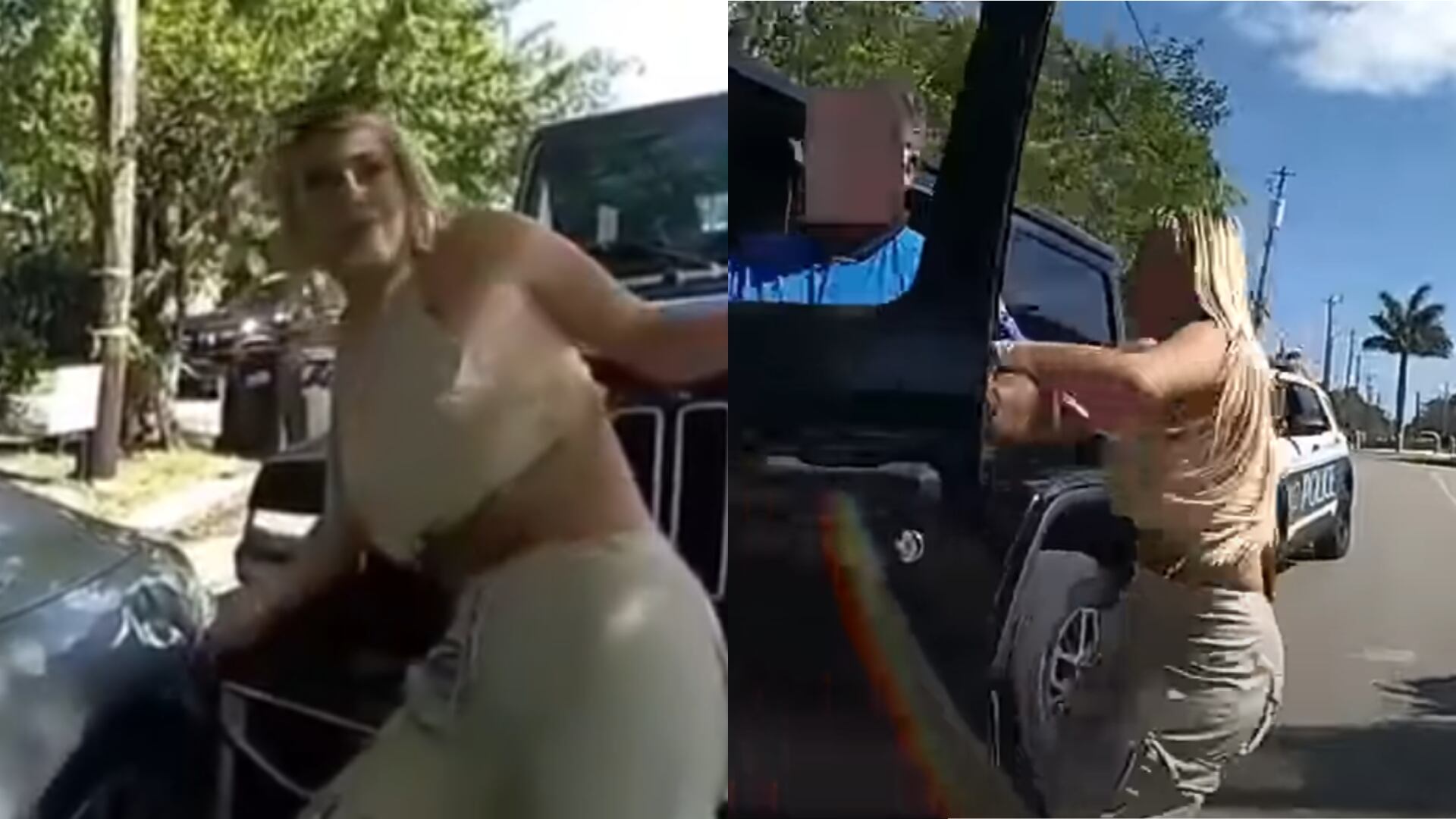 Colombiana en Estados Unidos agredió a un policía tras tener un accidente de tránsito y sufrió las consecuencias