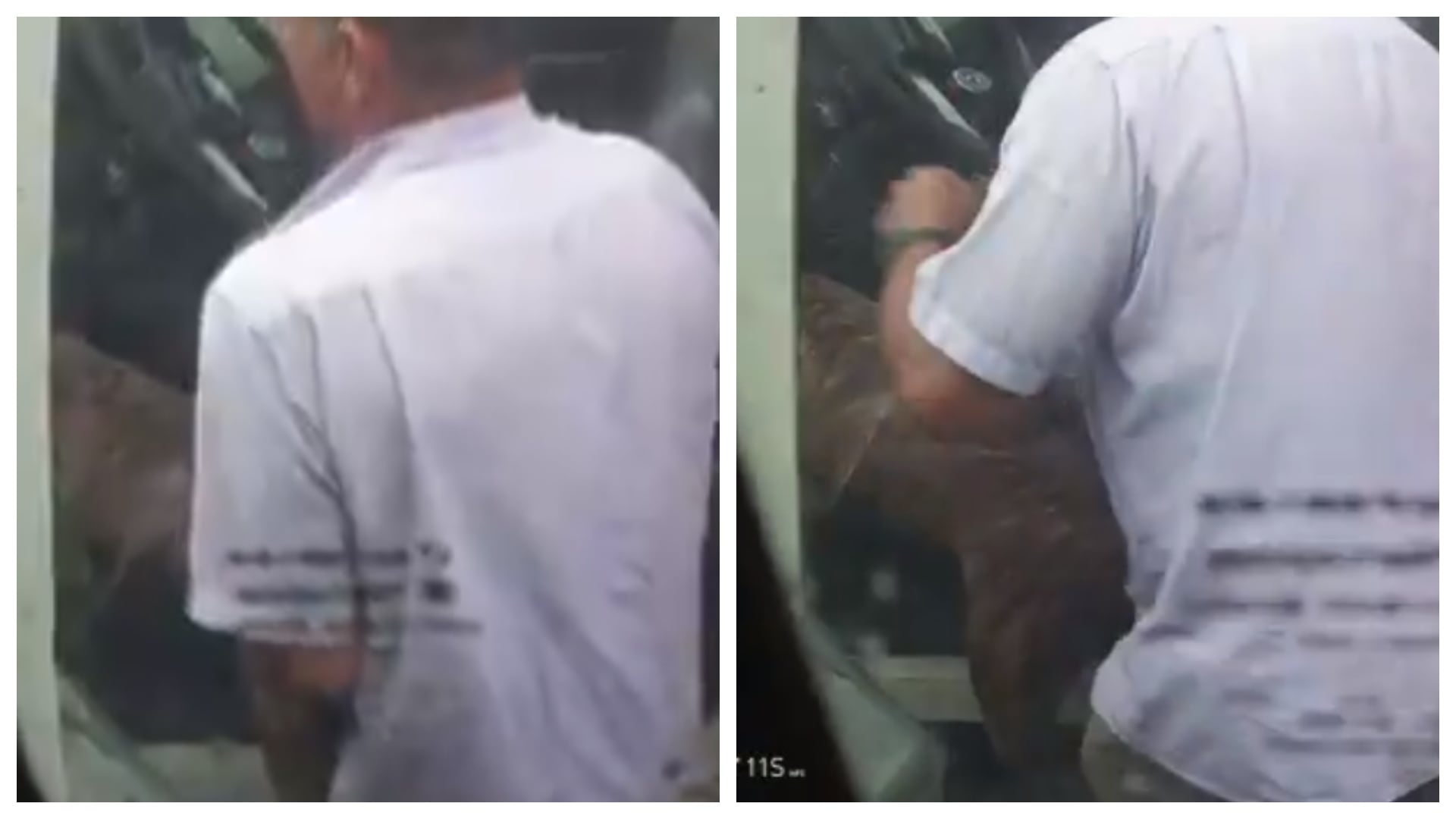 Miembro del MinDefensa abusó sexualmente a una perrita en la Séptima Brigada del Ejército Nacional (Redes sociales)